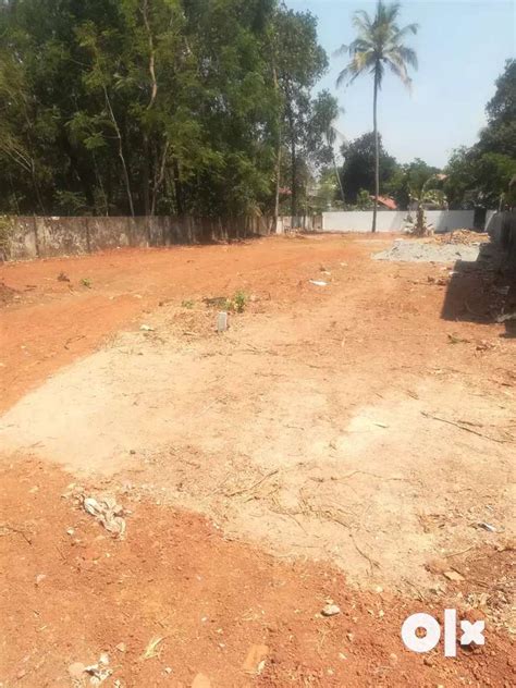 Thrissur Ayyanthole Near Pullazhi 5 6 Cent Plot For Sale Per Cent 4 50