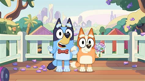 Bluey Season 2 Episode 19 The Show