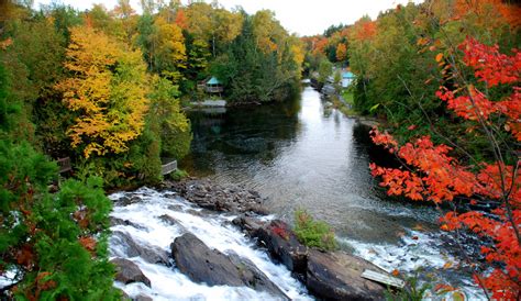 Canadian Fall Foliage Festival 2024 Nona Thalia