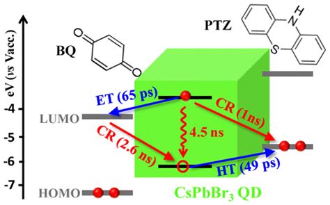 CsPbBr3钙钛矿量子点的超快界面电子和空穴转移 Journal of the American Chemical Society X MOL