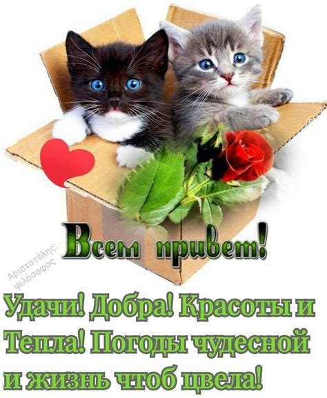 Привет - Картинки