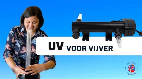 UV Apparaten Voor Vijvers YouTube