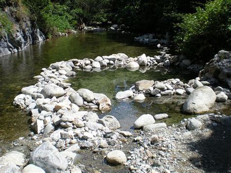 Rocks And Water In A Stream Surrounded By Trees