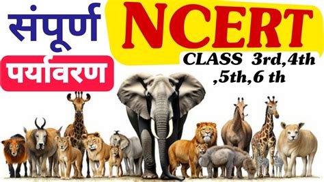 Evs Paryavaran Ncert Class Rd Th Th Th Th Th Th Th Live Ctet