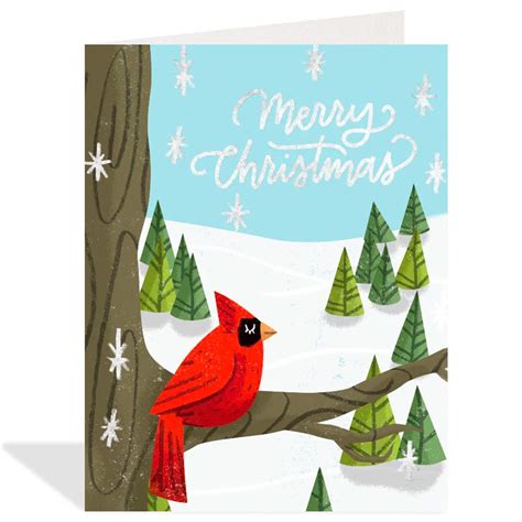 Christmas Cardinal Boxed Cards | Halfpenny Postage – Outer Layer