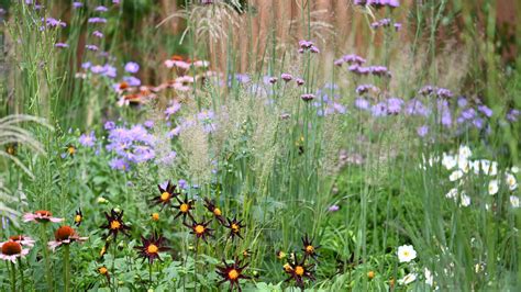 Prairie Garden: Inspiring Ideas for Your Landscape - Wonderland Garden