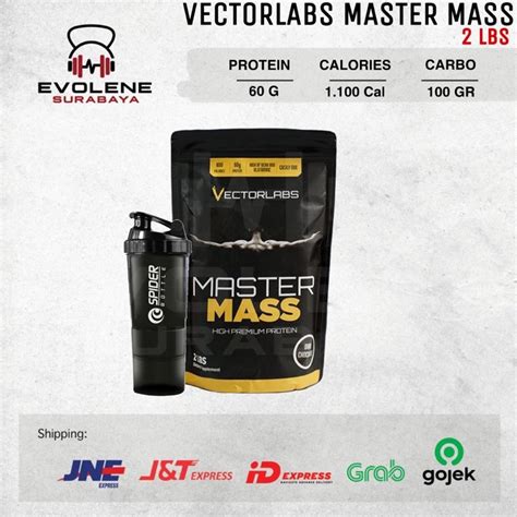 Jual Vectorlabs Master Mass Lbs Vector Labs Susu Weight Gainer