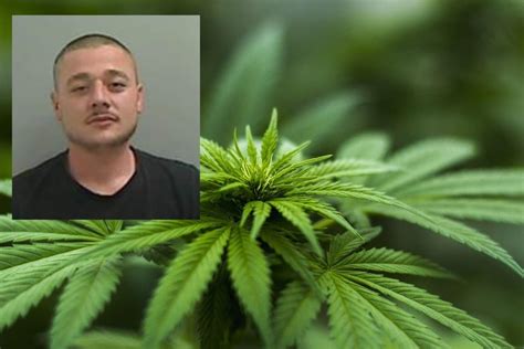 Cannabis Farmer Caught During Police Drugs Raid In Hartlepool Jailed After Failing To Learn His