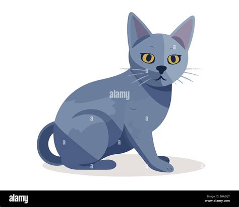 Cute Siberian Cat Flat Vector Illustration Stock Vector Image And Art Alamy