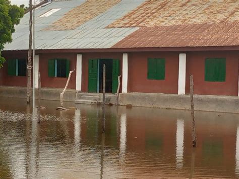 Flood Wreaks Havoc In Taraba Community Photo Daily Post Nigeria