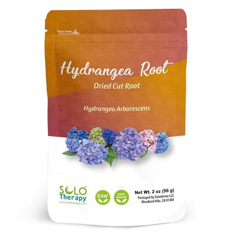 Amazon.com: Solo Therapy Hydrangea Root Herbal Tea - 56 Grams - Tea