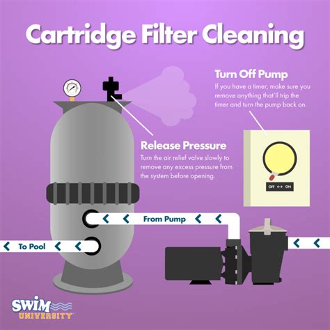 How To Clean A Pool Filter Sand Cartridge De