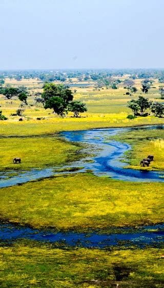 Que Voir Au Botswana Voyage Sur Mesure Meltour