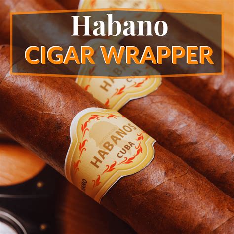 Discovering The World Of Cigar Wrappers A Comprehensive Guide To Types Whole Leaf Tobacco And