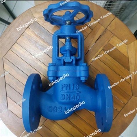 Jual Globe Valve Steam Cast Iron Pn16 2 12 Inch Dn65 Jakarta Barat Sumber Harapan Teknikk