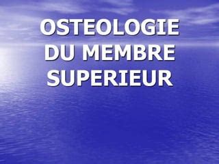 Anatomie Osteologie Du Membre Superieur PPT