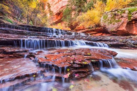 Zion National Park Subway Trek Archangel Falls