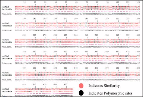 Sequence Alignment Of Coi Gene Fragment Of Substituted Fish Species