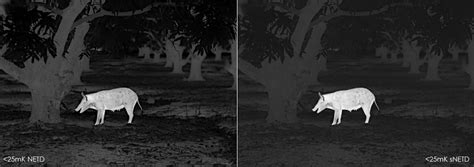 comparing netd values