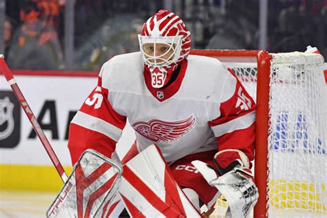 Red Wings Goalie Becoming Excellent Trade Target The Hockey News