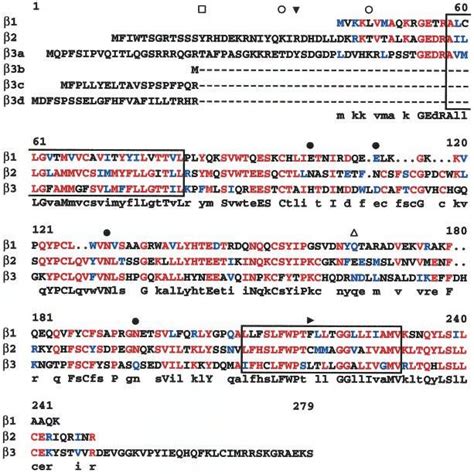 Alignment Of The Deduced Amino Acid Sequences The Deduced Amino Acid