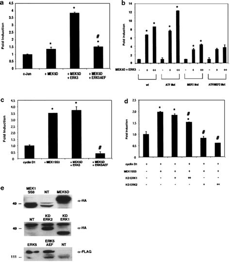 Cyclin D1 Promoter Activation By ERK1 2 And ERK5 In CCL39 Cells A A