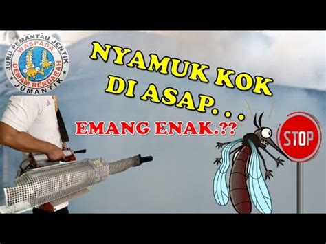 Fogging Nyamuk Aedes Aegypti Oleh Tim Demam Berdarah Puskesmas Di Desa