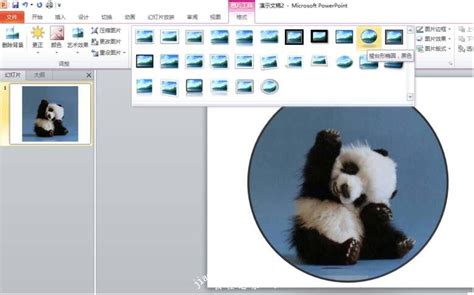 怎么用ppt制作圆形图片 Ppt制作圆形图片的详细步骤教程 Ppt 教程之家