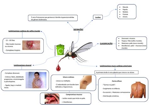 MAPA Leshmaniasis mapa mental para repaso Leishmaniasis DEFINIÇÕES