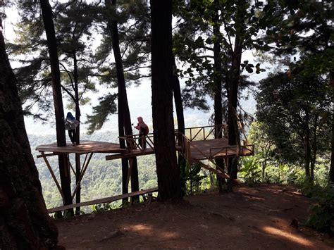 Adventure Indi Bukit Kembar Puncak Pinus Karawang