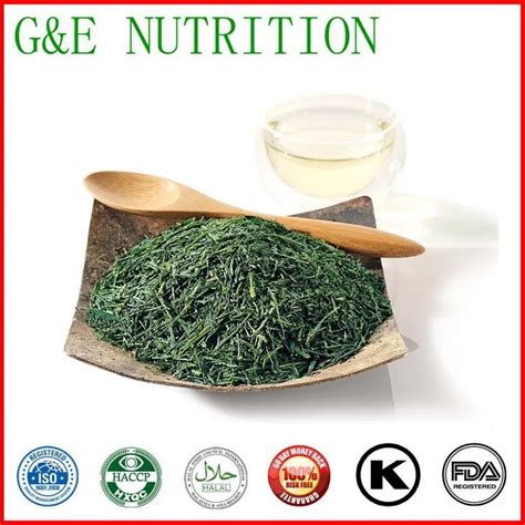 100 Natural Green Tea Extract With 40 L Theanine By HPLC Extract