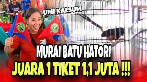 Murai Batu Hatori Lagi Lagi Juara Umi Kalsum Happy Banget Youtube