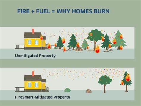 Edson Forest Area Wildfire Update July 9 2024