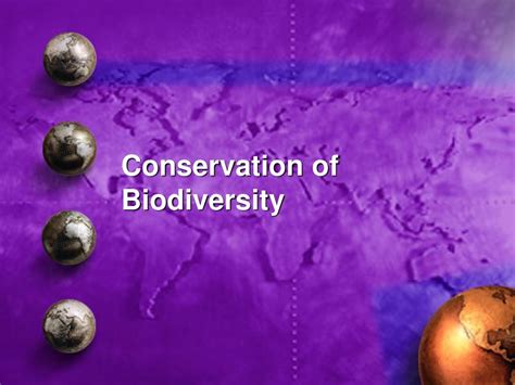 Biological Diversity And Conservation Ppt Download