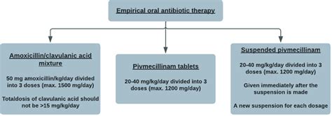 Empirical Oral Antibiotic Therapy Download Scientific Diagram