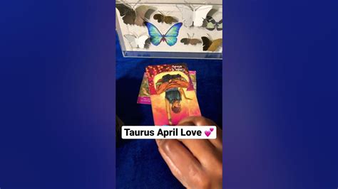 Taurus April 💕 You Wont See This Coming Dont Block Yourself From Your Love Shorts Youtube