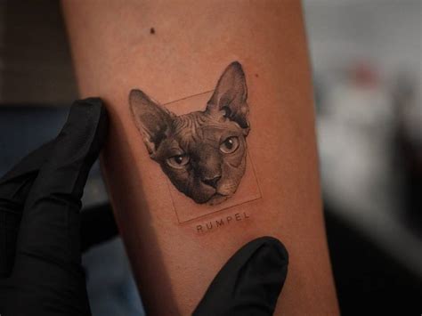 Micro Realistic Sphynx Cat Portrait Tattoo Located On