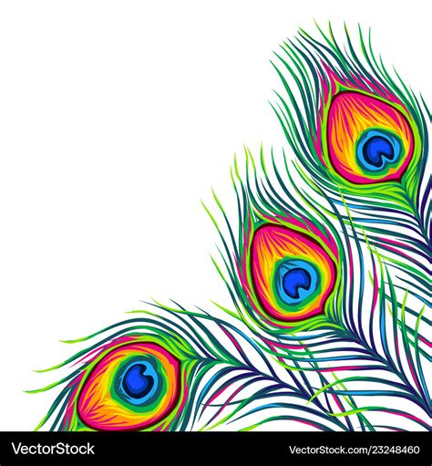 Background With Peacock Feathers Royalty Free Vector Image