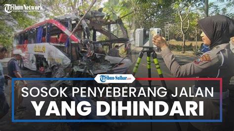 Sosok Penyeberang Yang Dihindari Bus Sugeng Rahayu Sebelum Tabrakan