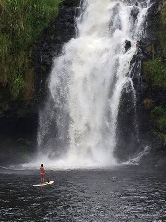 Kulaniapia Falls Hilo All You Need To Know BEFORE You Go