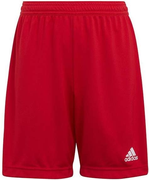 Spodenki Juniorskie Entrada Adidas Ceny I Opinie Ceneo Pl