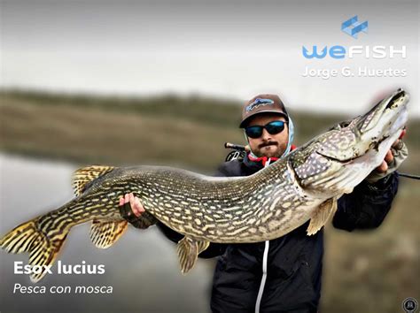 Pesca Con Mosca Gu A De Iniciaci N Wefish App De Pesca