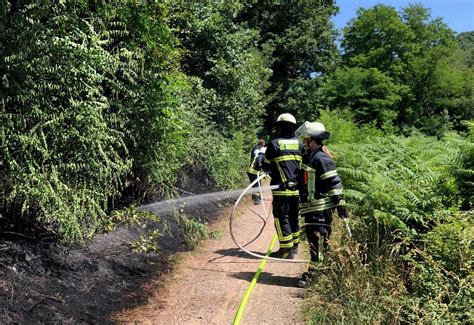 Feuerwehr Warnt Vor Wald Und Wiesenbrandgefahr Saarnews