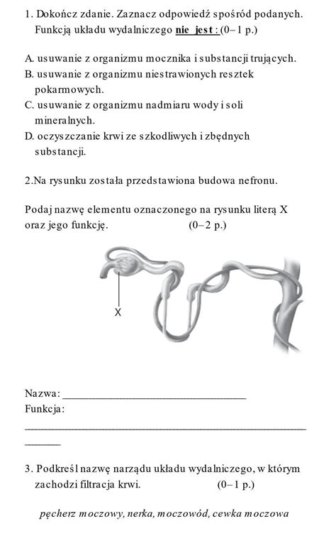 Help Biologia Klasa Daje Naj Brainly Pl