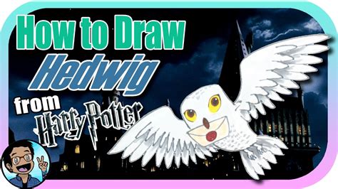 🎨 How To Draw Hedwig From Harry Potter Youtube