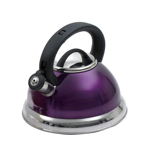 Creative Home Alexa 12 Cup Stovetop Tea Kettle In Purple 77019 The