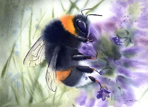 Bumble Bee Original Watercolor Painting Watercolour By Olga Shefranov