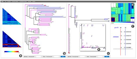 Vega Visual Comparison Of Phylogenetic Trees For Evolutionary Genome