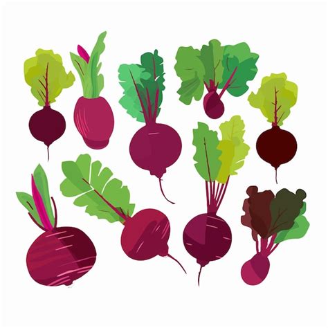 Premium Vector Collection Of Cute Cartoon Beetroot Vector Characters