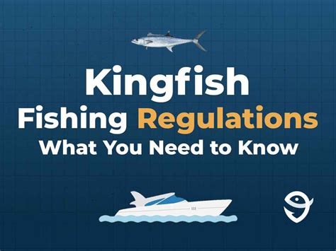 How To Fish For Kingfish An Anglers Guide For 2024